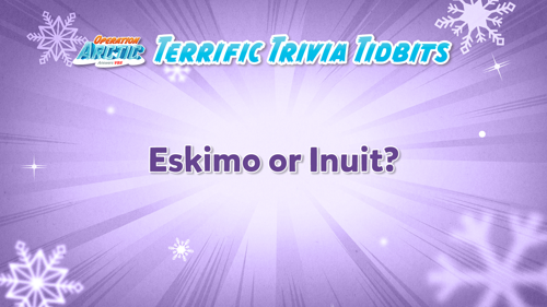 Oavbs Slides Terrifictrivia 23