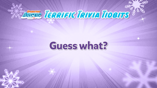 Oavbs Slides Terrifictrivia 3