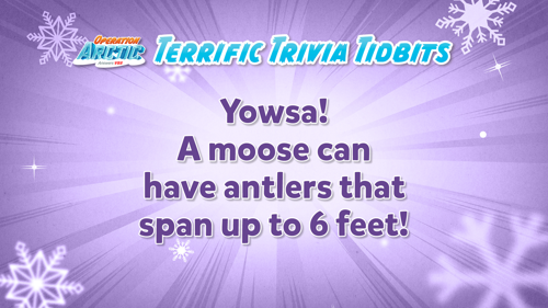 Oavbs Slides Terrifictrivia 32