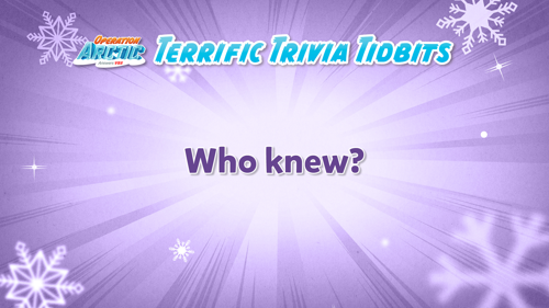 Oavbs Slides Terrifictrivia 33