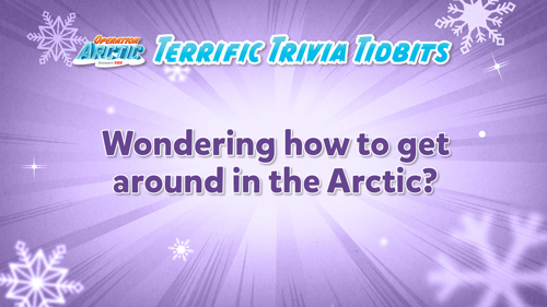 Oavbs Slides Terrifictrivia 35