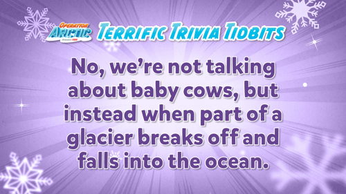 Oavbs Slides Terrifictrivia 38