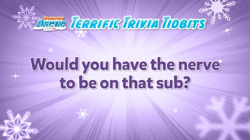 Oavbs Slides Terrifictrivia 41