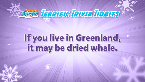 Oavbs Slides Terrifictrivia 43