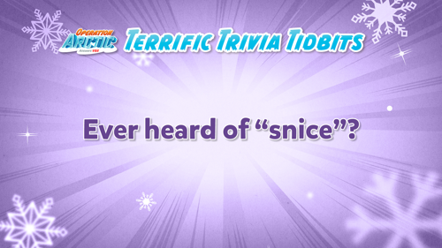 Oavbs Slides Terrifictrivia 44