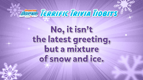 Oavbs Slides Terrifictrivia 45