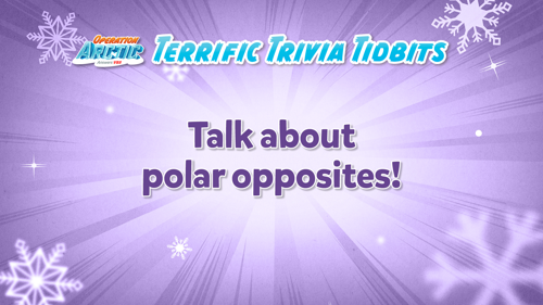 Oavbs Slides Terrifictrivia 5