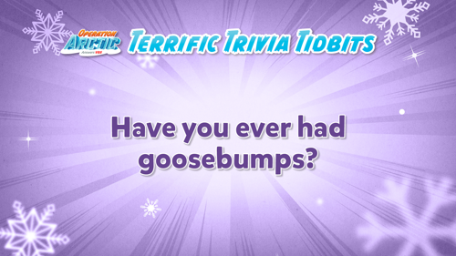 Oavbs Slides Terrifictrivia 57