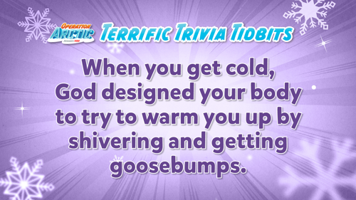 Oavbs Slides Terrifictrivia 58