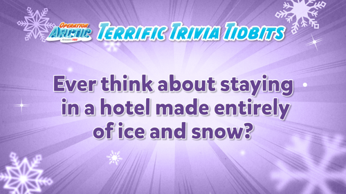 Oavbs Slides Terrifictrivia 60