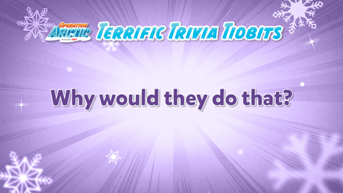 Oavbs Slides Terrifictrivia 69