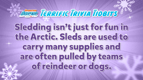 Oavbs Slides Terrifictrivia 72