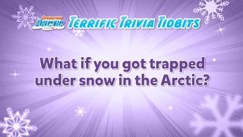 Oavbs Slides Terrifictrivia 78