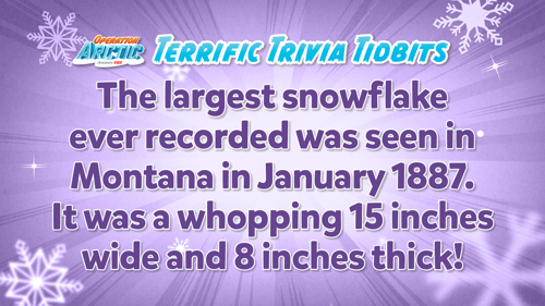 Oavbs Slides Terrifictrivia 8