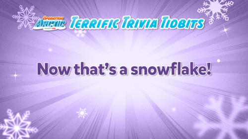 Oavbs Slides Terrifictrivia 9
