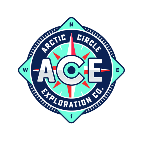 Ace Logo