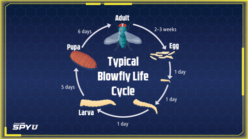 Science Slide 3