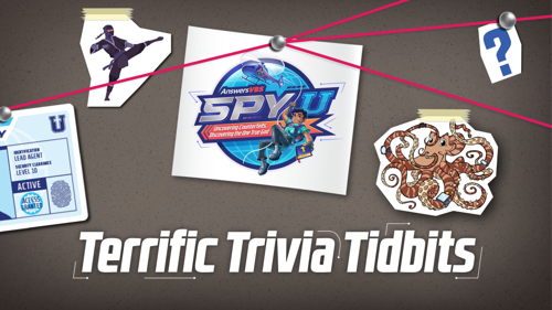 Trivia Slides