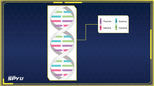 Science Slides 04