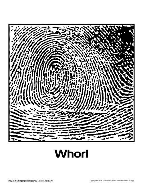 Day 2: Big Fingerprint Picture 2 (Junior, Primary)