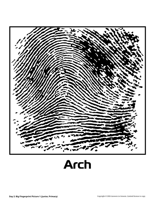 Day 2: Big Fingerprint Picture 1 (Junior, Primary)