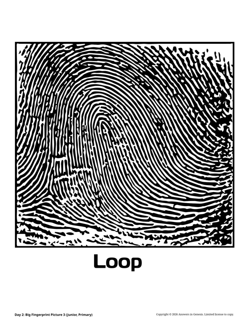 Day 2: Big Fingerprint Picture 3 (Junior, Primary)