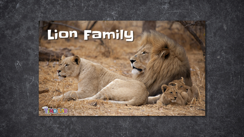 Creature Feature Lion Family