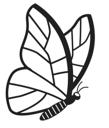 Simple Line Butterfly1