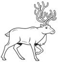 Simple Line Caribou