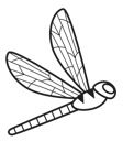 Simple Line Dragonfly1