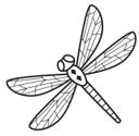 Simple Line Dragonfly2