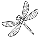 Simple Line Dragonfly2