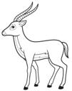 Simple Line Gazelle