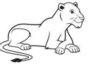 Simple Line Lioness