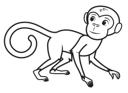 Simple Line Monkey2