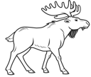 Simple Line Moose