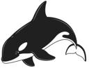 Simple Line Orca1