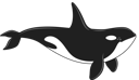 Simple Line Orca2