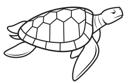 Simple Line Seaturtle1