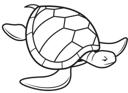 Simple Line Seaturtle2