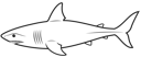 Simple Line Shark1