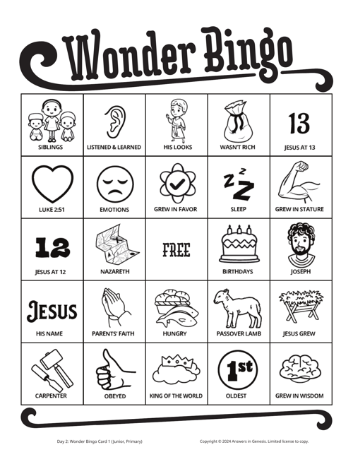 Day 2 Wonder Bingo Cards