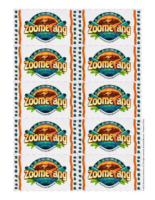 Promo Cards