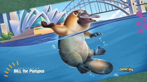 Animal Pal Day 3 Platypus