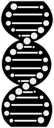 Daily Symbol Dna