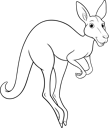 Jack The Kangaroo Lines