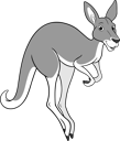 Jack The Kangaroo