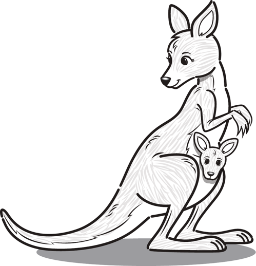 Kangaroo With Joey 2