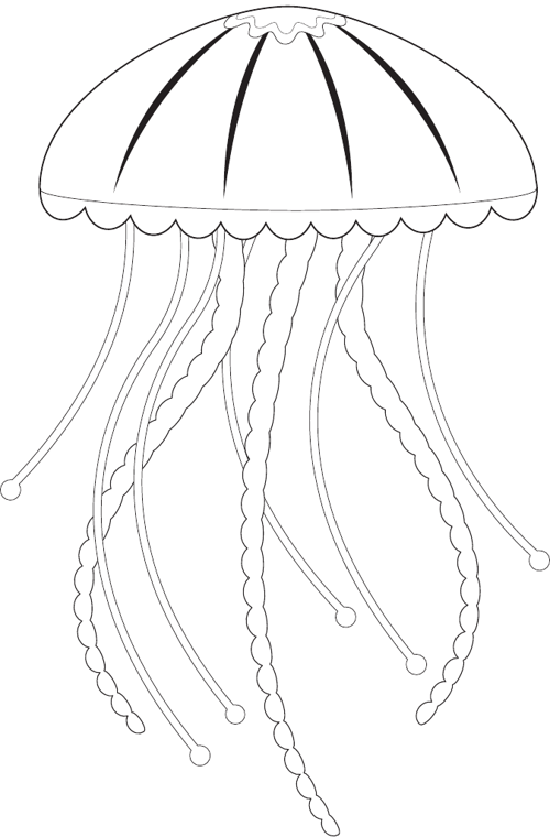 Jellyfish 2