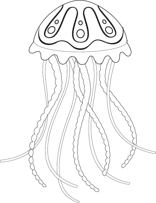 Jellyfish 3